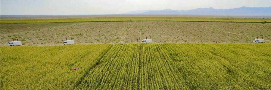 植保無(wú)人機(jī)如何突圍傳統(tǒng)農(nóng)業(yè)